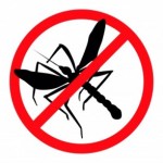 mosquito-300x294